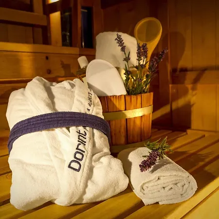 Dorint Parkhotel 4*
