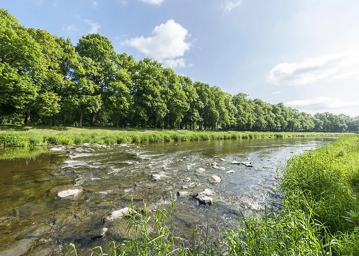 فندق Dorint Parkhotel باد نوهايم