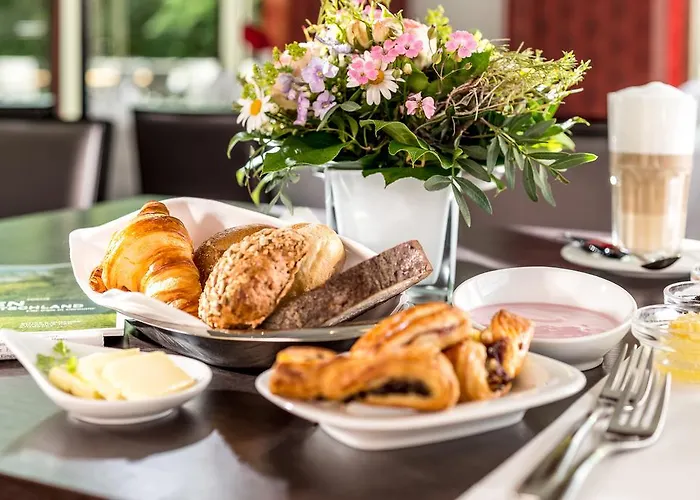 Dorint Parkhotel باد نوهايم