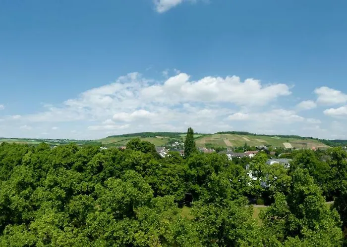 Dorint Parkhotel فندق 4*