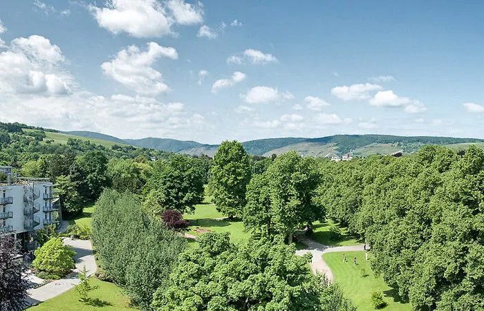 فندق Dorint Parkhotel 4*